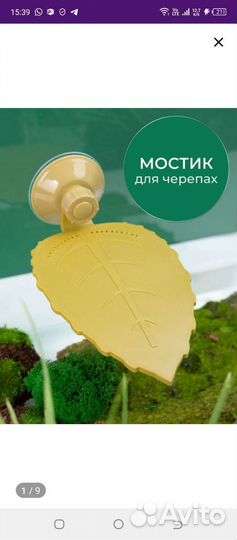 Мостик для черепахи