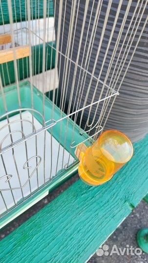 Клетка для попугая