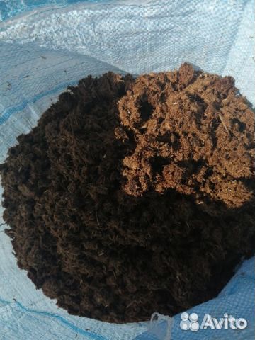 Конский навоз