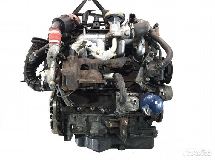 Двигатель Ford Focus 2003 F9DA