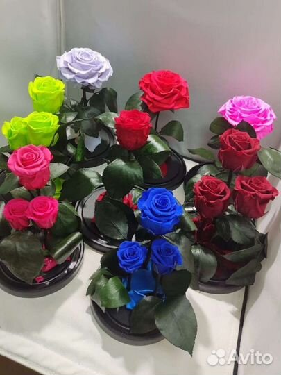 Роза в колбе оптом и в розницу