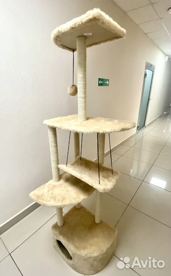 Когтеточка новая большая, комплекс