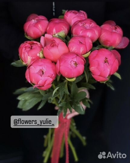 Пионы розовые коралловые пионы 101 пион