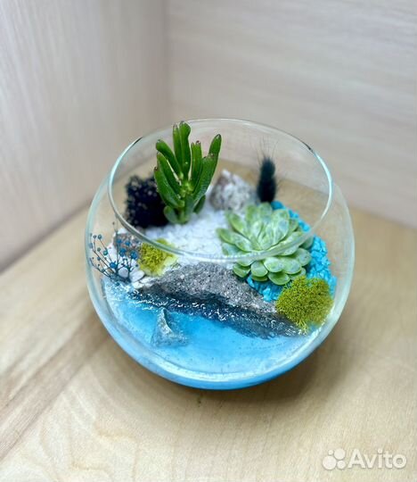 Флорариум с суккулентами - дизайн, интерьер
