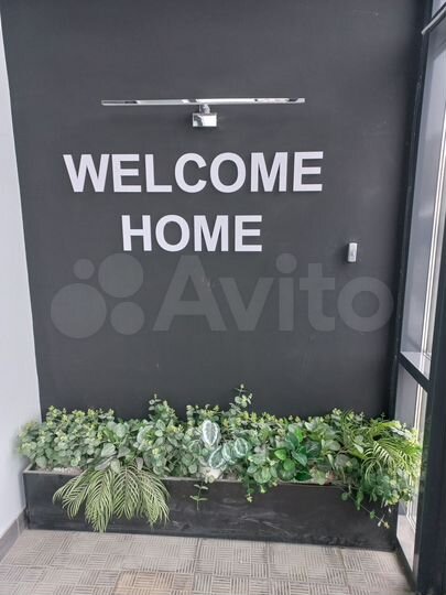 Квартира-студия, 24,6 м², 10/11 эт.