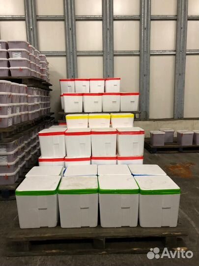 Икра красная 2023 - оптом