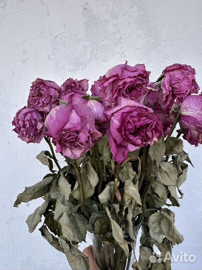 Букет засушенных роз