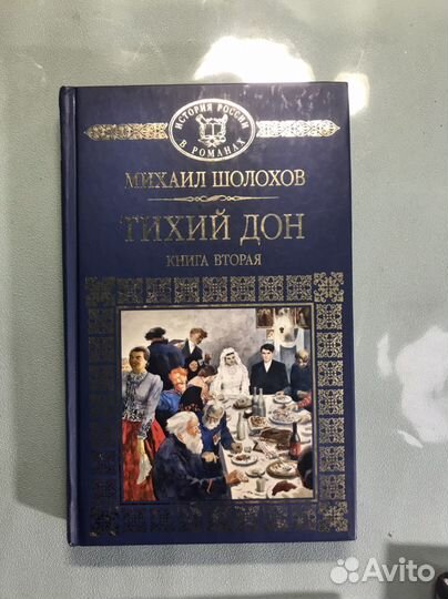 Тихий дон Шолохов