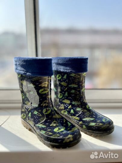 Сапоги демисезонные