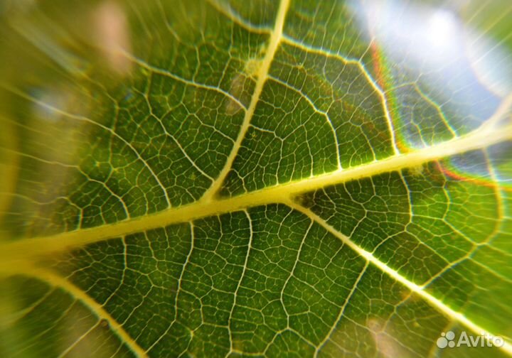 Стеклянный шар на подставке из оникса