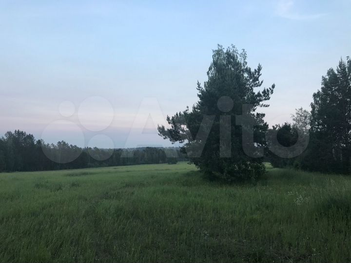 Участок 50 сот. (ИЖС)