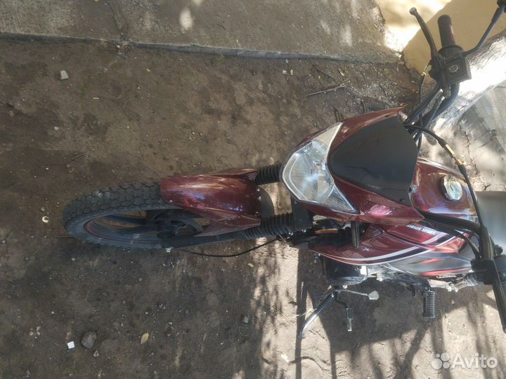 Альфа сириус спорт