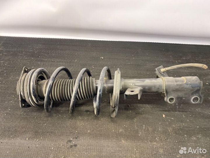 Амортизатор передний Nissan X-Trail T31