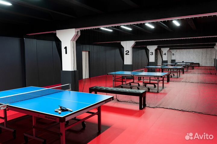 Аренда стола для настольного тенниса