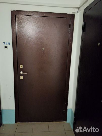 Дверь входная металлическая с зеркалом