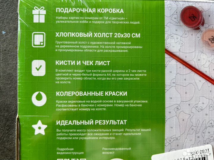 Картина по номерам новая цветущий кактус 20 на 30