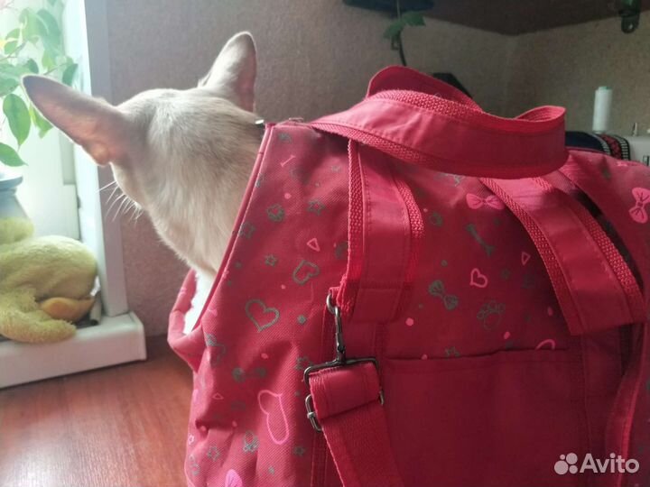 Сумка переноска для кошек и собак