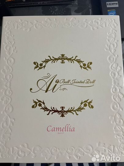 Кукла аи бжд Ai Doll BJD Groove Camellia