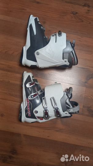 Горные лыжи