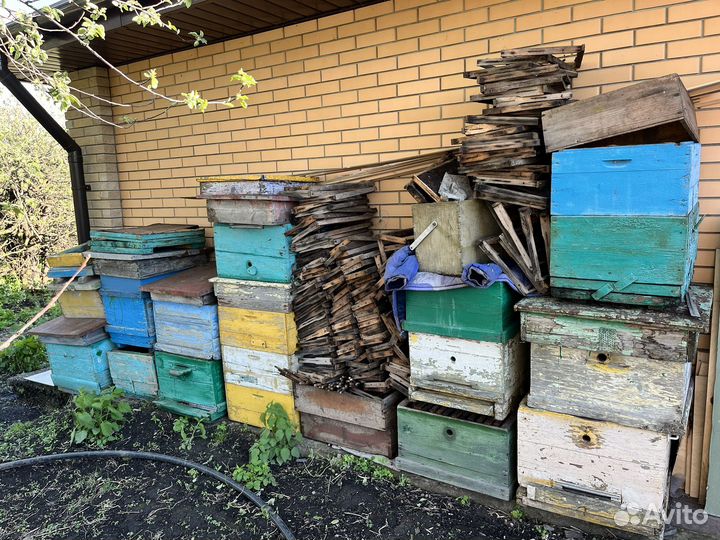 Ульи, рамки для пчел