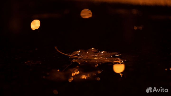 Sigma art 70mm macro sony e