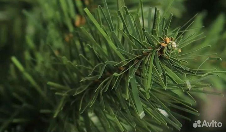 Гирлянда и ель искусственная из пвх, 180