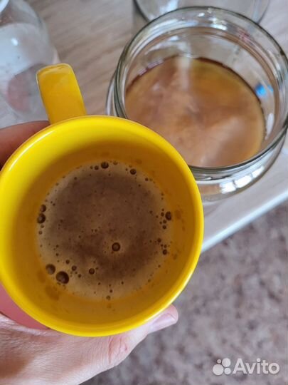 Чайный гриб комбуча