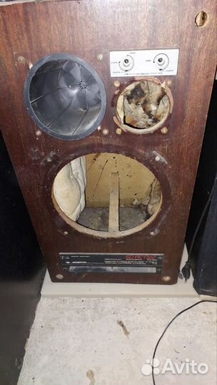 Колонки амфитон 50ас 022