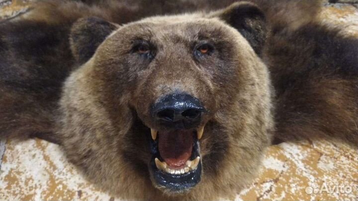 Шкура медведя имитация