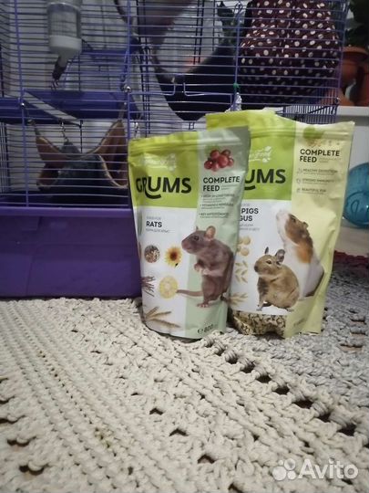 Крыса Дамбо с клеткой