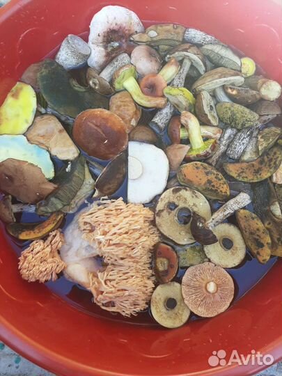 Грибы Крымские маринованные