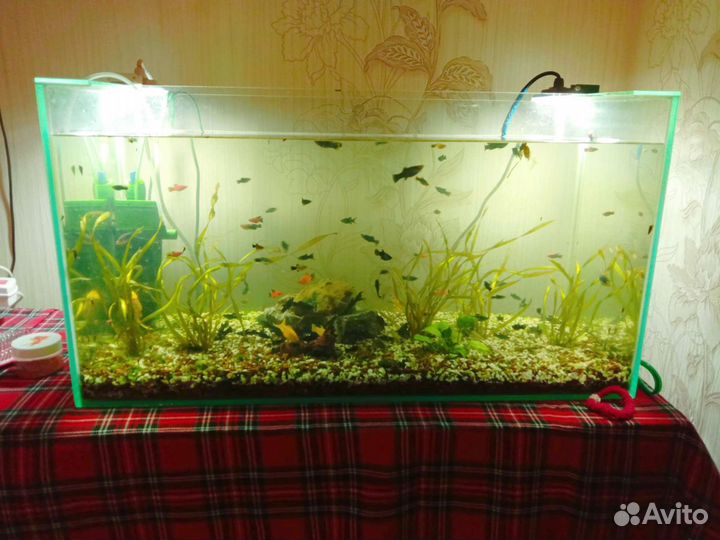 Аквариум