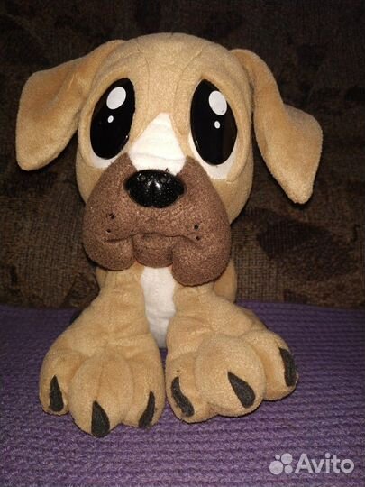 Собака Pawphans