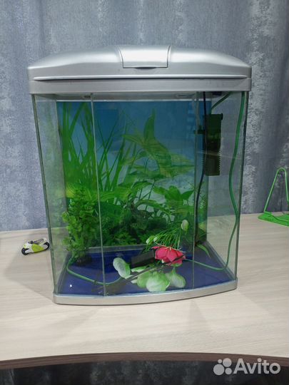 Аквариум
