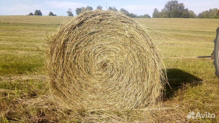 Сено с доставкой