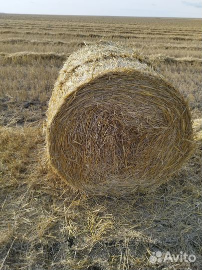Солома в тюках