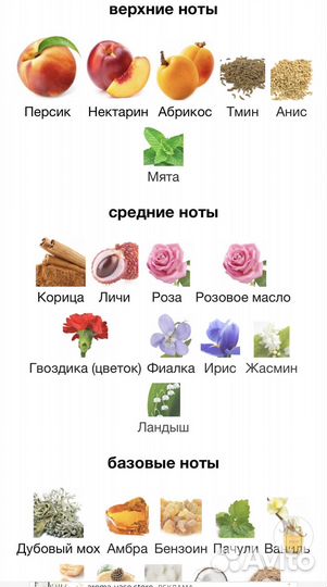 Champagne yves saint laurent