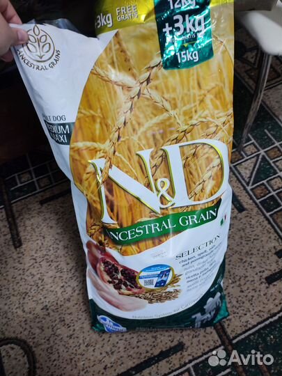 Корм для собак