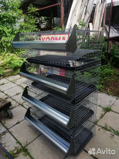 Клетки длЯ перепелов