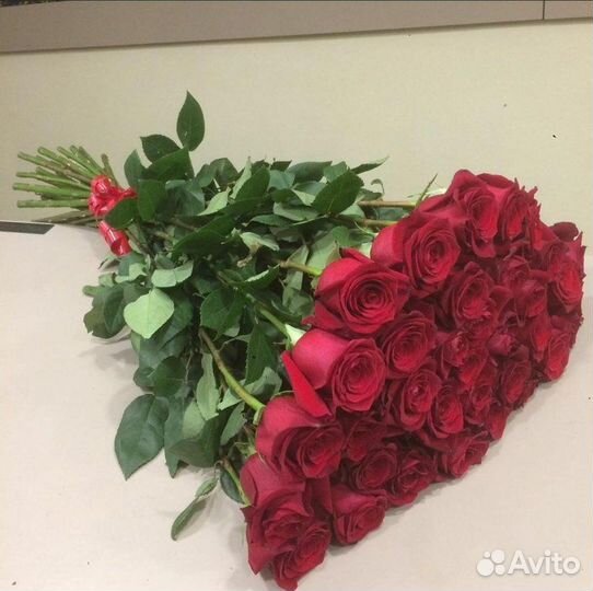 Эквадор 51 роза 25 роз 101 роза 60 см доставка