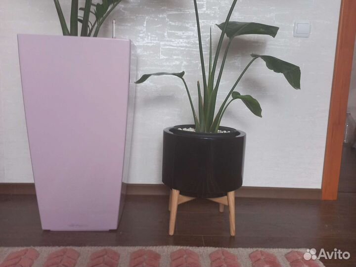 Кашпо с подставкой из гельвеи, Florian, AM.PM