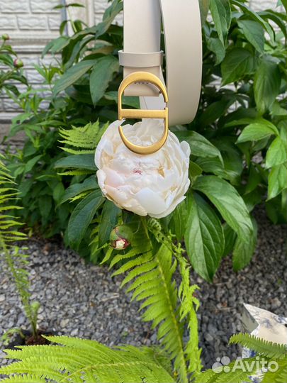 Ремень женский dior