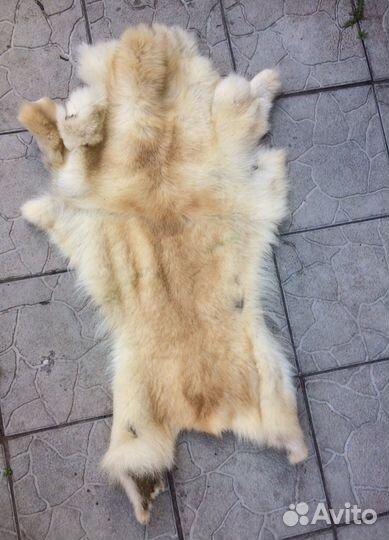 Шкура лисы