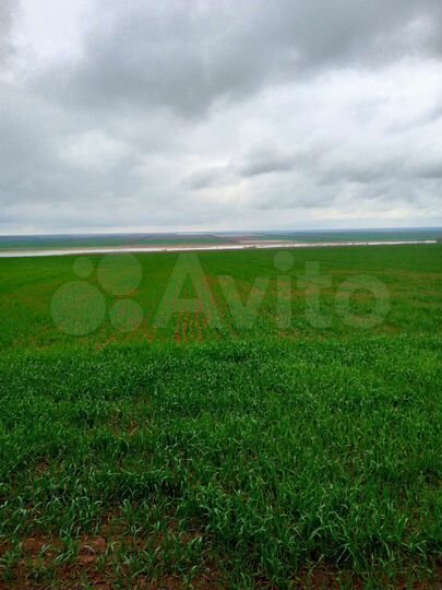 Участок 100 сот. (СНТ, ДНП)