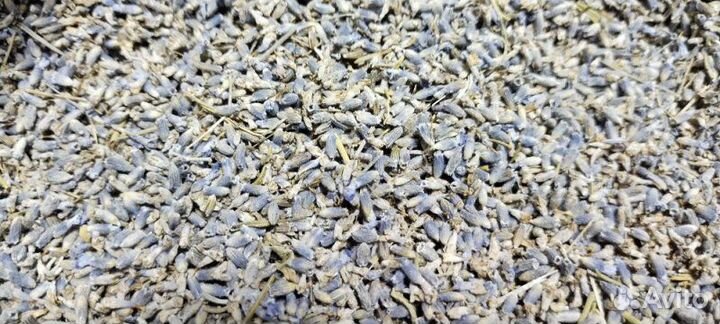 Лаванда крымская цветки 500 гр