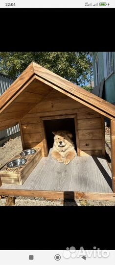 Будка для собаки от производителя