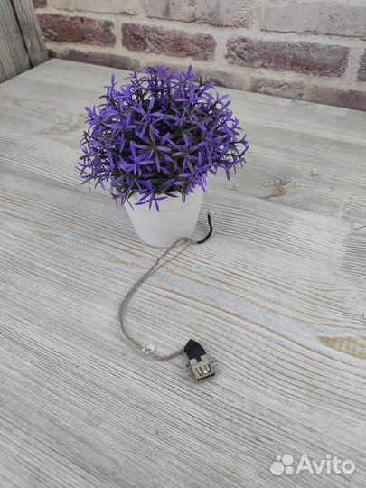 USB ноутбука Lenovo G560