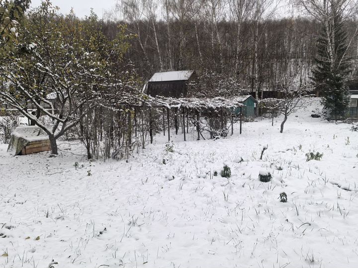 Дом 36 м² на участке 6 сот.