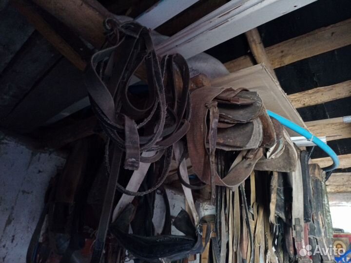 Конная амуниция