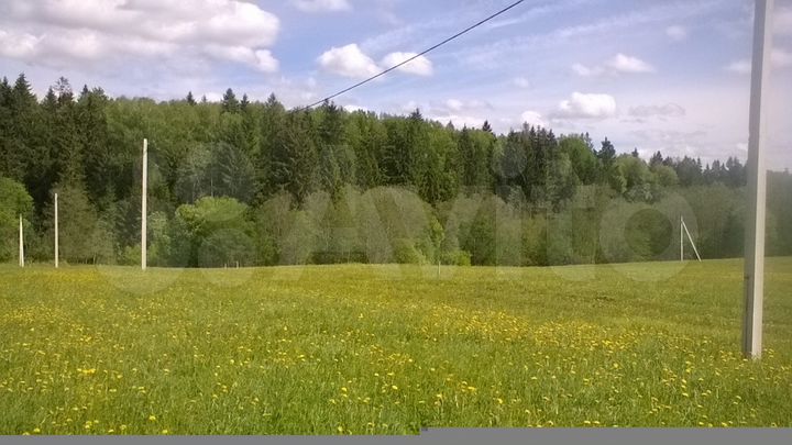 Участок 12,3 сот. (СНТ, ДНП)